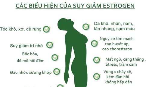 Nhận biết suy giảm nội tiết tố nữ - Estrongen