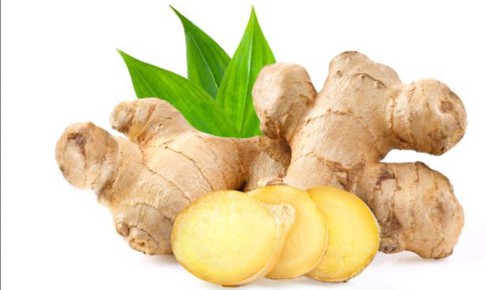 3 vị thuốc tốt cho hệ tiêu hóa