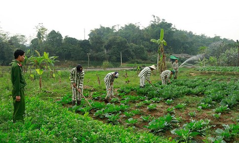 C&#226;n nhắc trả tiền c&#244;ng cho phạm nh&#226;n khi tham gia lao động ngo&#224;i trại giam