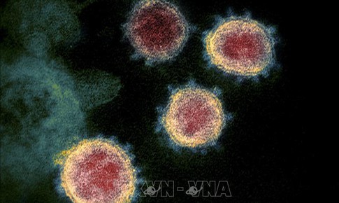 Ph&#225;t hiện chủng virus SARS-CoV-2 lai giữa biến thể Omicron v&#224; biến thể Delta
