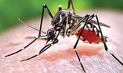 Đắk Lắk: Phát hiện một trường hợp nhiễm sốt rét ác tính trở về từ Châu Phi