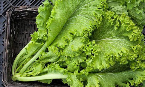 Cải canh tốt cho sức khỏe nhưng những người n&#224;y kh&#244;ng n&#234;n ăn
