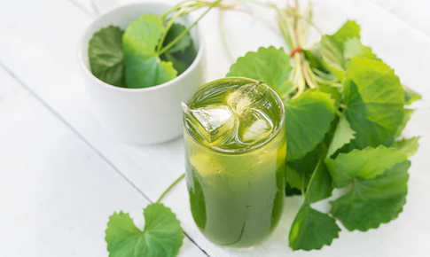 3 cách sử dụng rau má trong chăm sóc, làm đẹp da