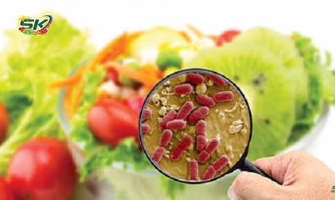 Một số lưu ý để phòng tránh ngộ độc thực phẩm