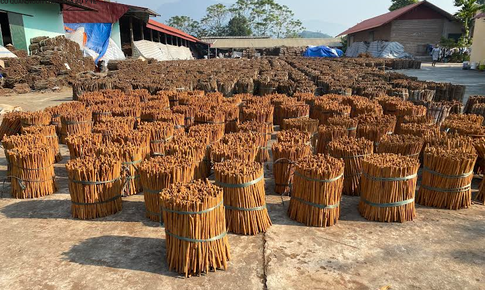 C&#244;ng nh&#226;n quế Văn Y&#234;n miệt m&#224;i tăng ca những ng&#224;y cận Tết