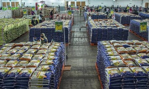 Thị trường gạo &#39;&#225;n binh&#39; chờ quyết định của Ấn Độ về thuế xuất khẩu