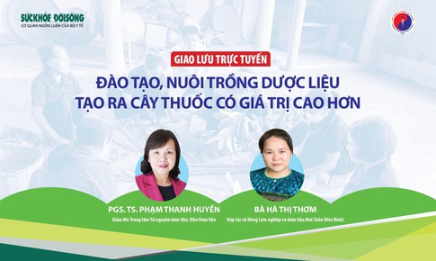 Giao lưu trực tuyến: Đ&#224;o tạo, nu&#244;i trồng dược liệu tạo ra c&#226;y thuốc c&#243; gi&#225; trị cao hơn