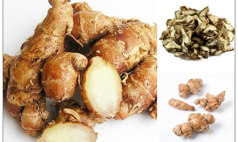 Sử dụng địa liền l&#224;m thuốc v&#224; những lưu &#253; khi d&#249;ng