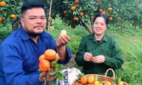 Vợ chồng người d&#226;n tộc m&#224;y m&#242; l&#224;m TikTok b&#225;n n&#244;ng sản thu trăm triệu mỗi th&#225;ng