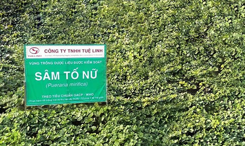 Sản phẩm hỗ trợ tăng cường nội tiết thời kỳ tiền m&#227;n kinh, m&#227;n kinh