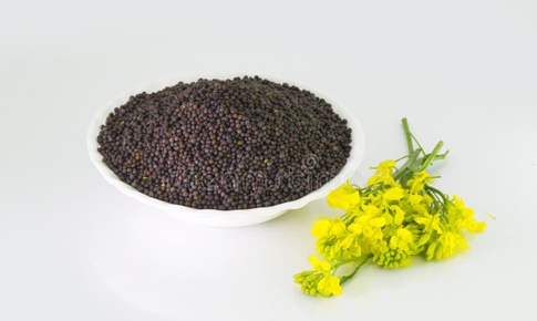 Cải xanh - c&#226;y rau, c&#226;y thuốc chữa bệnh