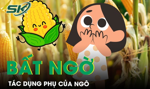 Nếu ăn qu&#225; nhiều ng&#244; cơ thể sẽ xảy ra điều g&#236;?