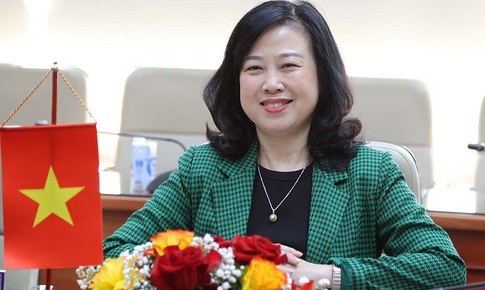 Bộ trưởng Bộ Y tế Đ&#224;o Hồng Lan tiếp Đại sứ Thuỵ Sĩ tại Việt Nam