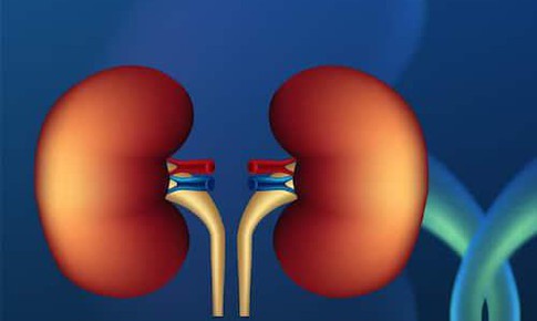 8 giải pháp giúp ngăn ngừa bệnh thận mạn tính