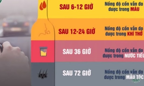Uống rượu bia sau bao lâu cơ thể mới hết nồng độ cồn?