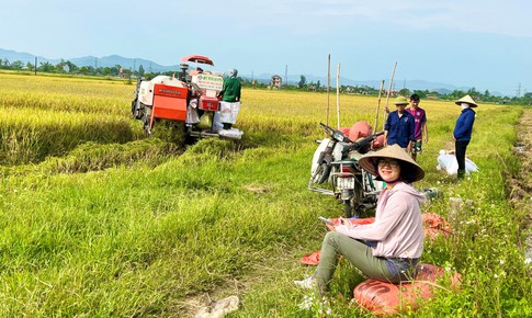 Biện ph&#225;p n&#224;o bảo vệ sức khỏe cho n&#244;ng d&#226;n khi l&#224;m việc dưới nắng n&#243;ng?