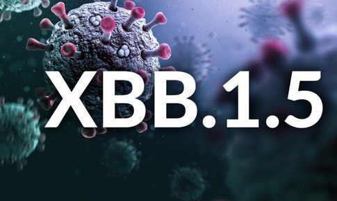Nghi&#234;n cứu về biến thể phụ Omicron XBB/XBB.1.5 v&#224; khả năng bảo vệ của vaccine COVID-19