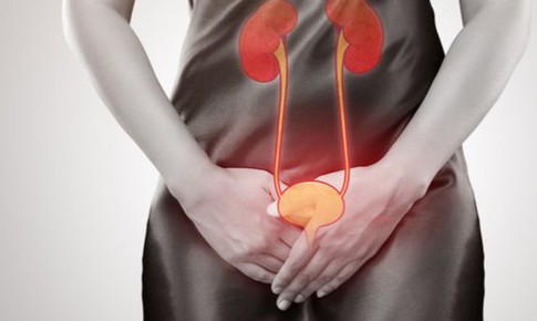Biện pháp ngăn ngừa mất nước, phòng bệnh tiết niệu trong mùa hè