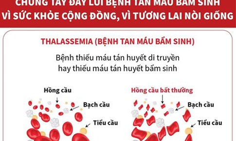 Đẩy l&#249;i bệnh tan m&#225;u bẩm sinh v&#236; sức khỏe cộng đồng v&#224; n&#242;i giống