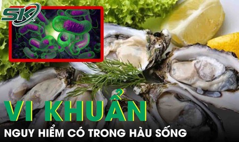 Vi khuẩn nguy hiểm c&#243; trong h&#224;u sống