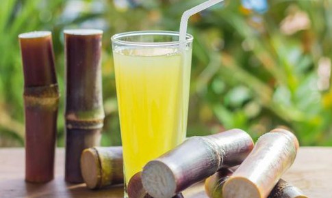 M&#237;a kh&#244;ng chỉ giải kh&#225;t, thanh nhiệt m&#224; c&#242;n chữa được bệnh