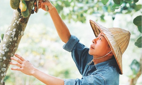 &quot;Sống ở trang trại mang lại năng lượng cho t&#244;i mỗi ng&#224;y&quot;