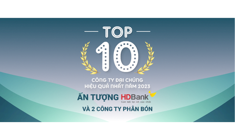 TOP 10 c&#244;ng ty đại ch&#250;ng hiệu quả nhất năm 2023: Ấn tượng HDBank, Đạm Ph&#250; Mỹ v&#224; H&#243;a dầu Đức Giang