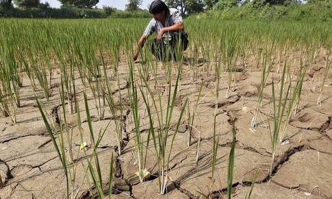 El Nino ch&#237;nh thức xuất hiện, hạn h&#225;n v&#224; nắng n&#243;ng th&#234;m nghi&#234;m trọng