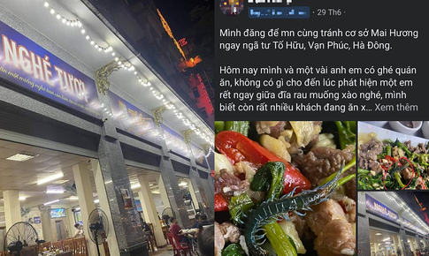 H&#224; Nội: Kiểm tra nh&#224; h&#224;ng Mai Hương sau th&#244;ng tin con rết xuất hiện trong đĩa rau muống x&#224;o, ph&#225;t hiện chuột ở nơi chế xuất thực phẩm