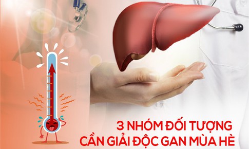 3 nh&#243;m đối tượng n&#234;n giải độc gan m&#249;a h&#232;