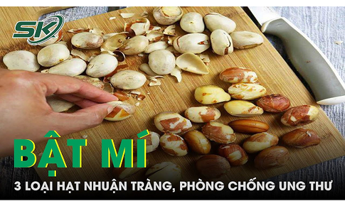 3 loại hạt bổ dưỡng gi&#250;p nhuận tr&#224;ng, ph&#242;ng chống ung thư