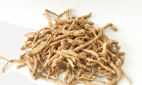 4 m&#243;n ăn b&#224;i thuốc dưỡng n&#227;o từ viễn ch&#237;