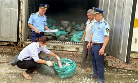 Lạng Sơn: Thu giữ 1,5 tấn m&#243;ng gi&#242; lợn chảy nước, bốc m&#249;i h&#244;i thối