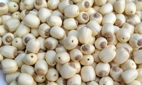Bài thuốc an thần dưỡng huyết chữa chứng hay quên