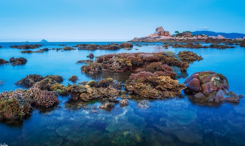 San h&#244; qu&#253; Vịnh Nha Trang hồi sinh, c&#243; giữ được kh&#244;ng?