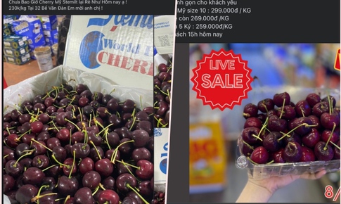 Gi&#225; cherry nhập khẩu Mỹ thấp kỷ lục