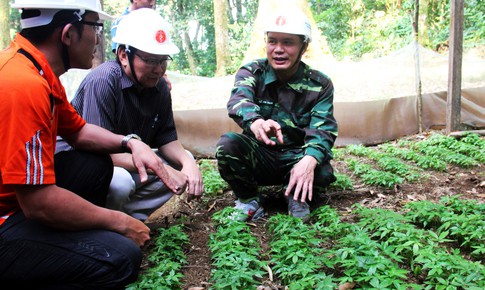 Ph&#225;t triển c&#226;y dược liệu bằng c&#225;ch &#225;p dụng khoa học - kỹ thuật