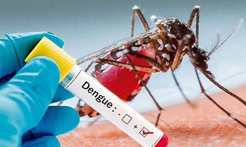 21 người tử vong do sốt xuất huyết chỉ trong một ng&#224;y ở Bangladesh