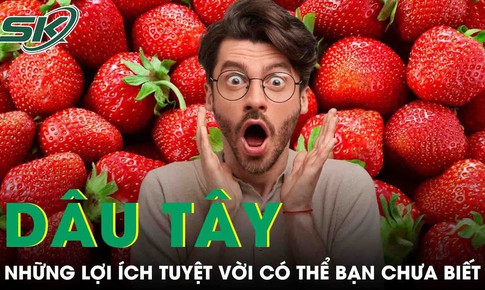 Những lợi ích sức khỏe không ngờ của dâu tây