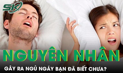 Nguy&#234;n nh&#226;n g&#226;y ngủ ng&#225;y bạn đ&#227; biết chưa?