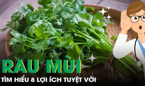 8 lợi &#237;ch sức khỏe tuyệt vời từ rau m&#249;i