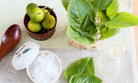 11 b&#224;i thuốc chữa bệnh từ c&#226;y h&#250;ng chanh
