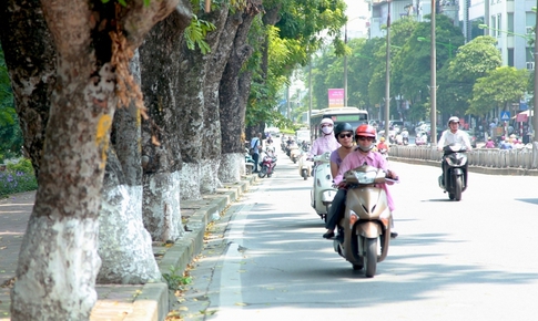 Nắng gắt, nhiệt độ cao giữa m&#249;a đ&#244;ng c&#243; bất thường?