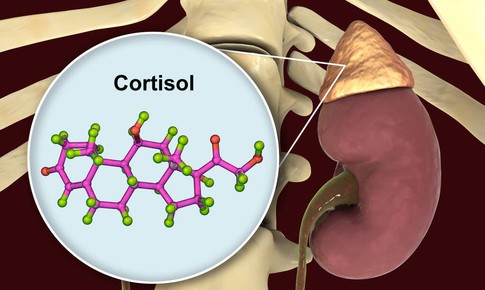 Thuốc điều trị hội chứng Cushing