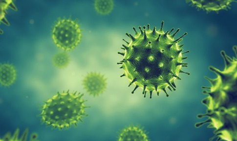 Những điều cần biết về virus c&#250;m A