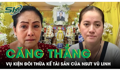 Căng thẳng vụ kiện đ&#242;i thừa kế t&#224;i sản giữa em v&#224; con g&#225;i của NSƯT Vũ Linh