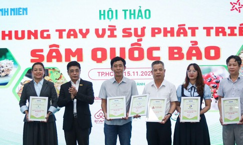 Chuyển giao khoa học ra mắt Hồng s&#226;m Lai Ch&#226;u - hồng s&#226;m Việt Nam đầu ti&#234;n