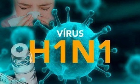 B&#236;nh Định ghi nhận 4 ca tử vong do c&#250;m A(H1N1)pdm, Bộ Y tế đề nghị xử l&#253; triệt để, hạn chế l&#226;y lan diện rộng