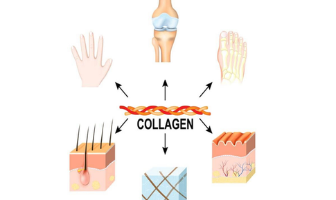 D&#249;ng collagen c&#243; t&#225;c dụng phụ kh&#244;ng?