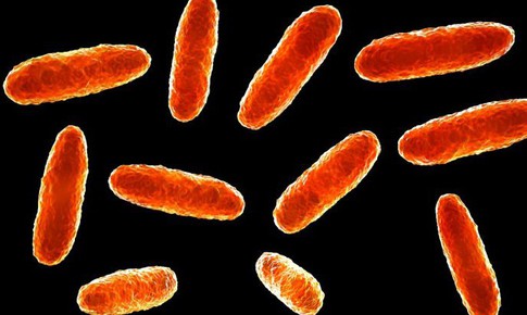 Mexico: Th&#234;m nhiều trẻ em tử vong do nhiễm vi khuẩn Klebsiella oxytoca